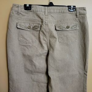 3/$20 Christopher Banks pants 14 Petite